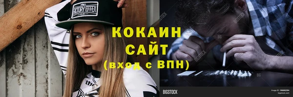 стафф Алексин