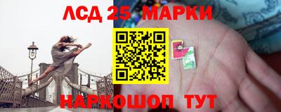 прущие грибы Камышлов