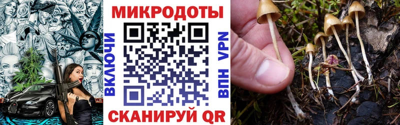 Псилоцибиновые грибы Psilocybe  ссылка на мегу   Нововоронеж 