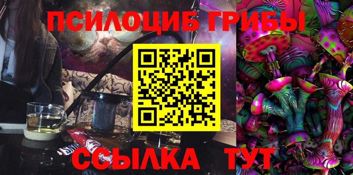 что такое   Псилоцибиновые грибы Psilocybine cubensis  Вход с VPN  Нововоронеж 