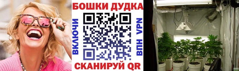 Каннабис Ganja  сколько стоит  Нововоронеж 